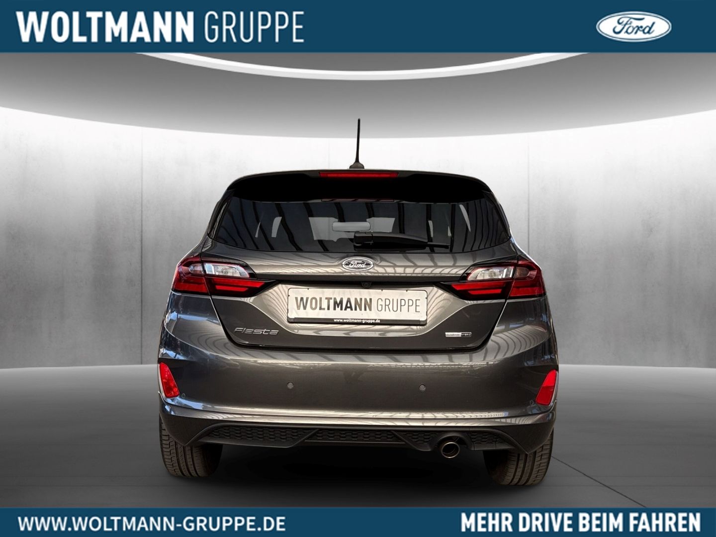 Fahrzeugabbildung Ford Fiesta ST-Line Vignale 1.0 Mild-Hybrid 114 KW B&
