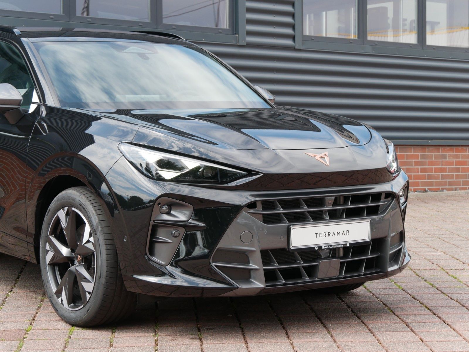 Cupra Terramar - Bild 7