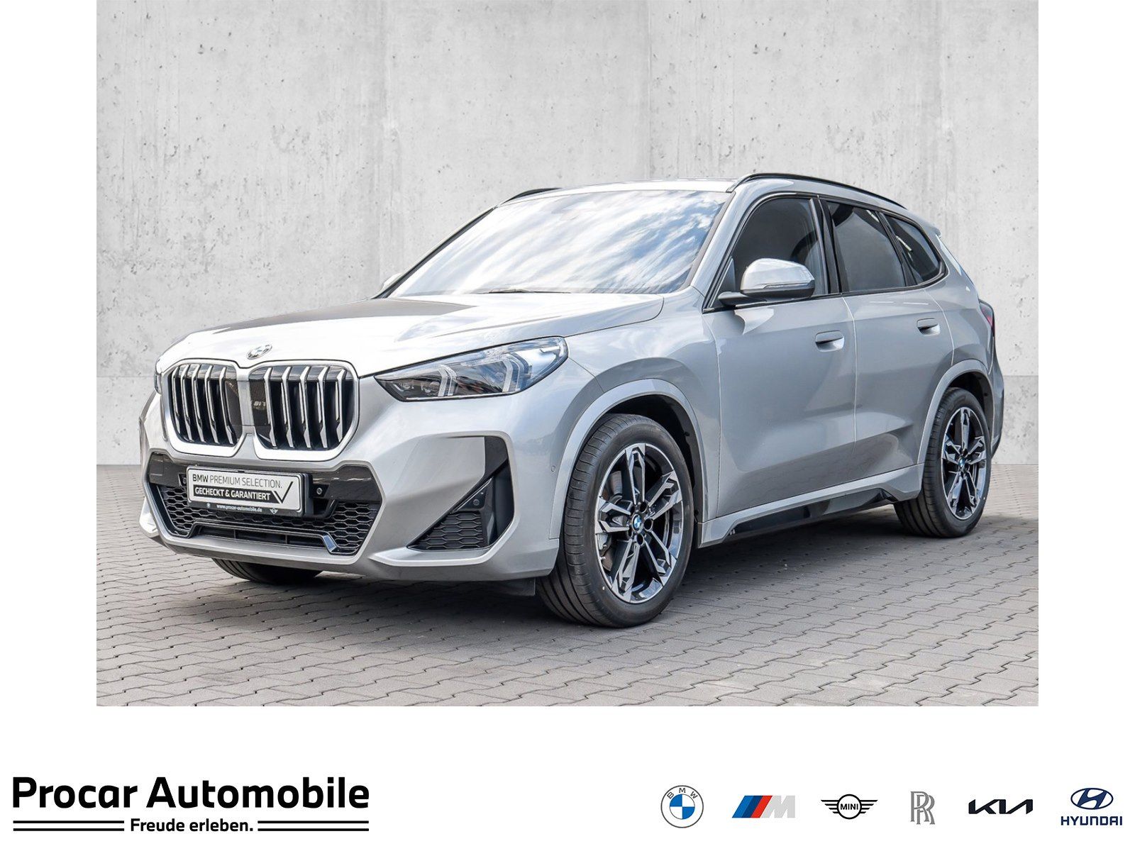 BMW X1 xDrive23d M Sport ACC RFK NAVI LED PDC V+H