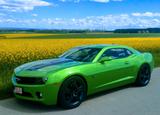 Chevrolet Camaro - gebrauchte Chevrolet Camaro aus dem Jahr 2010