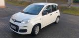Fiat New Panda MyStyle 1.2 8V 51kW - Fiat Panda: Mystyle