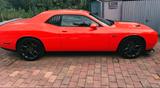 Dodge Challenger - gebrauchte Dodge Challenger aus dem Jahr 2019