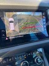 Skoda Kodiaq 2.0 TSI DSG 4x4 Scout - Skoda Kodiaq Gebrauchtwagen in Hamburg