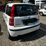 Fiat Panda - Fiat Panda aus 2010: Allradantrieb