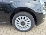 Fiat 500 MY24 1.0 *DOLCEVITA* HELLES LENKRAD! - Fiat 500: 1.2