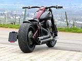 Harley-Davidson FAT BOY 110 CVO SCREAMIN EAGLE - EINZELSTÜCK - HARLEY-DAVIDSON CVO FAT BOY