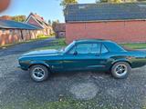 Ford Mustang - Ford Gebrauchtwagen von 1967