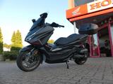 Honda Forza125 Special Ed. incl. Anlieferung - HONDA NEU ROLLER