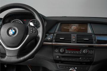 2009 BMW X6 缩略图 19