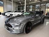 Ford Mustang 5.0 Ti-VCT Cabrio GT LED Virtual ACC R.C - Ford Mustang mit Schiebedach