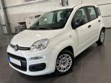 Fiat Panda 1.0 Urban **5-Türig*Klima*PDC** - Fiat Panda: 5.5