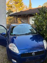 Fiat Punto 1.2 8V Dynamic Dynamic - Fiat Punto mit Benzin-Antrieb: Dynamic