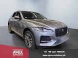 Jaguar F-Pace D165 S AWD Mild-Hybrid Leder Garantie ...