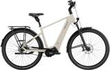Pegasus Estremo EVO 12 Lite M - Pegasus E-Bikes