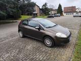 Fiat Punto 199 1.4 16v 95ps - gebrauchte Fiat Punto aus dem Jahr 2008