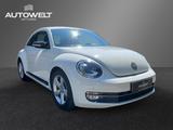 Volkswagen Beetle Lim. 2.0 TDI Sport XENON SITZHEIZ uvm. - Volkswagen Beetle Sport mit Diesel-Antrieb