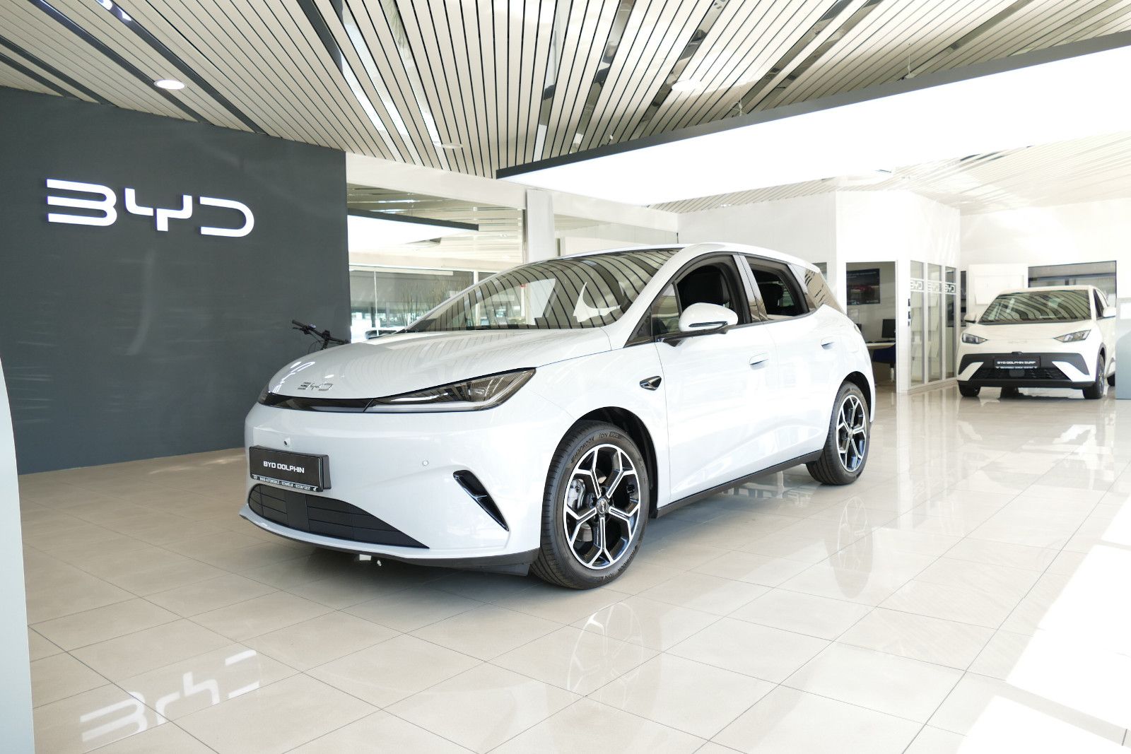 BYD DOLPHIN