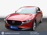 Mazda CX-30 2.0 M-Hybrid SELECTION AHZV abn. - Mazda CX-30 Gebrauchtwagen in Dresden