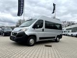 Fiat Ducato Luxusbus Panorama Modular L2H2 33 150 - gebrauchte Fiat Ducato aus dem Jahr 2019