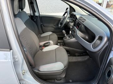 Fahrzeugabbildung Fiat Panda Easy DAB+ UConnect Klima SHZ uvm.