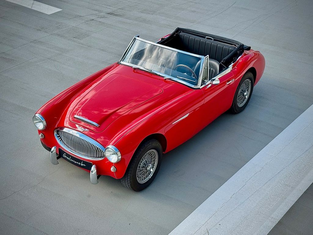 Austin Healey Andere