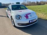 Volkswagen Beetle 1.2 TSI CUP  - Volkswagen Beetle: Cup