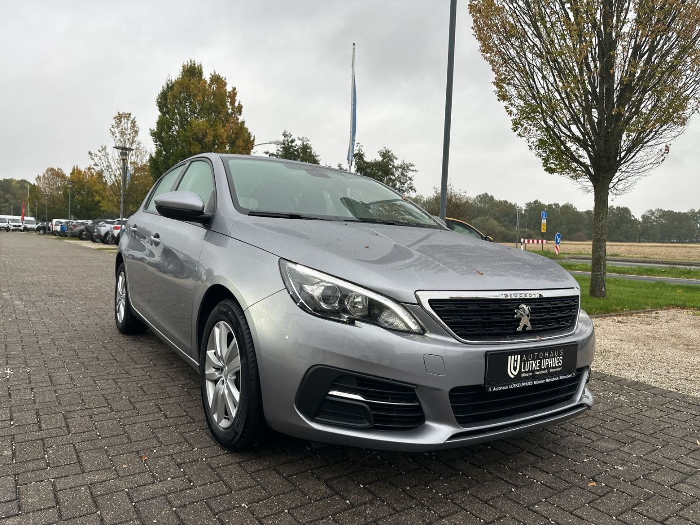 Fahrzeugabbildung Peugeot 308 Active BlueHDi 130 Navi SHZ Rückfahrkam.