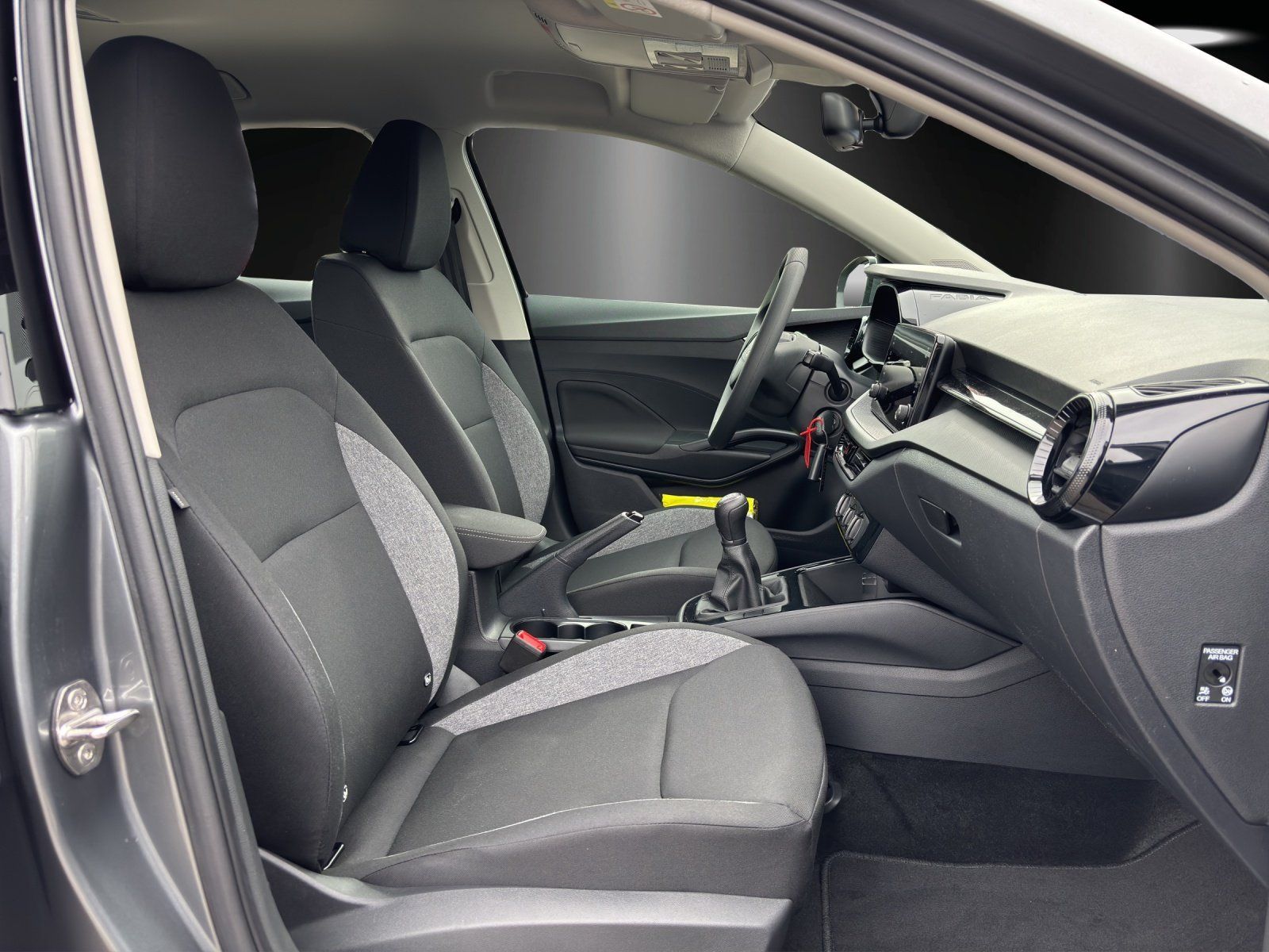 Fahrzeugabbildung SKODA Fabia Essence 1,0 TSI 70 kW