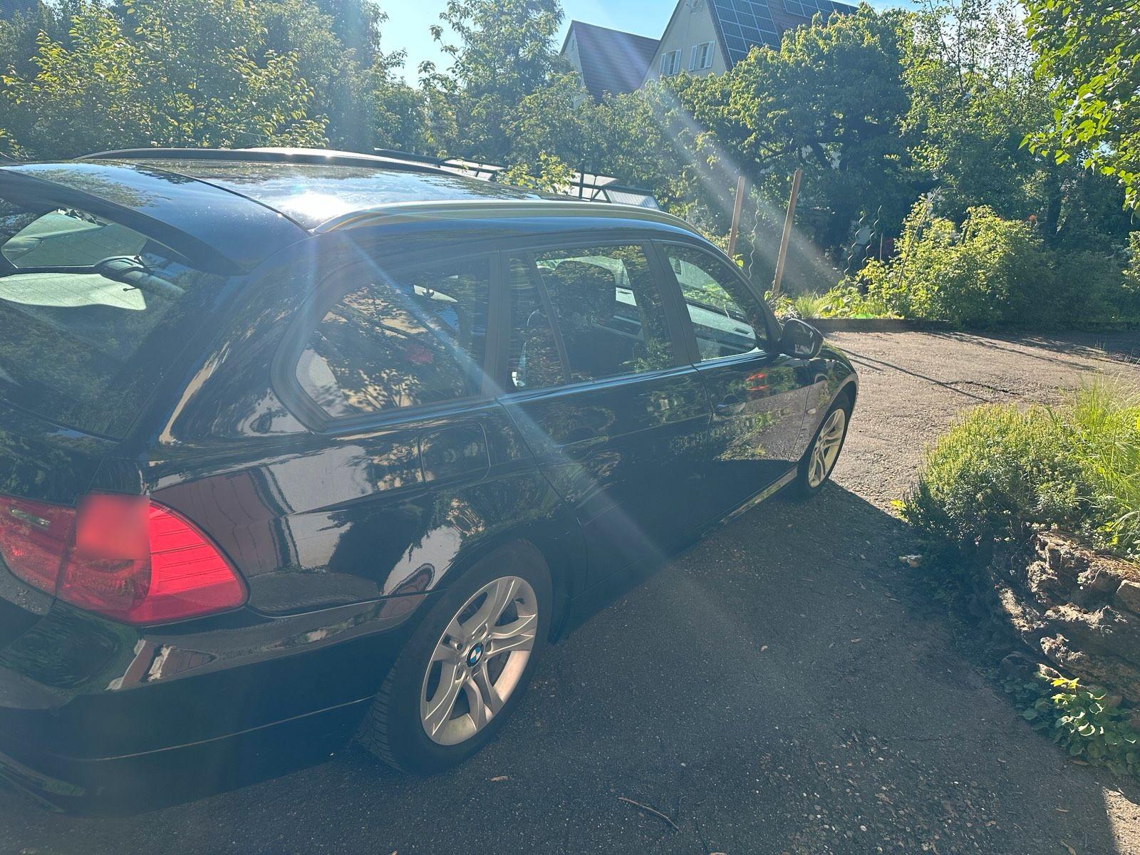 BMW 318 2010 — салон