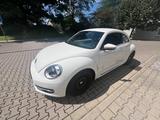 Volkswagen Beetle Lim.Design BMT--weiss-Zustand sehr gut - Volkswagen Gebrauchtwagen in Karlsruhe