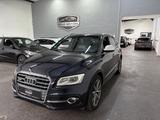Audi SQ5 **Competition** quattro - Audi SQ5 in Dortmund