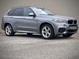 BMW X5 xDrive30d-M Sportpaket-Kamera-CarPlay - BMW X5 Gebrauchtwagen in Nürnberg