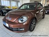Volkswagen Beetle Cabriolet 1.4 Aut - nur 52 tkm - KAM NAVI - Volkswagen Beetle: Cabrio