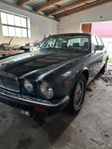 Jaguar XJ V12 Oldtimer  - Jaguar XJ: V12