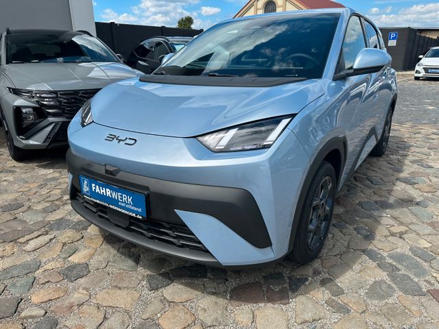 BYD DOLPHIN SURF