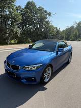 BMW 220d Cabrio, M Performance Bremsen, H&K, Kamera  - BMW 2er Reihe von privat