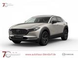 Mazda CX-30 Nagisa 140 2025|BOSE|Kamera|Navi - Mazda CX-30: Nagisa