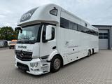 Mercedes-Benz ACTROS S  2640 STX  . POP-OUT,  6 Pferde - Tier- & Pferdetransport für 2 Pferde