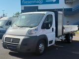 Fiat Ducato 2,2 Kipper / Klima / Pritsche / 1.Hand - Fiat Ducato: Kipper