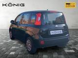 Fiat Panda MY25 1.0 Klima PDC Citypaket - Fiat Panda in Leipzig
