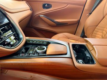 2020 Aston Martin DBX 缩略图 23