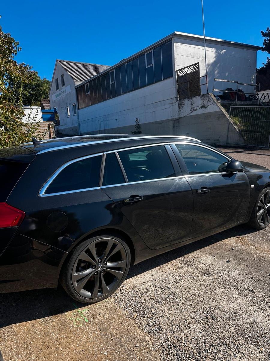 Opel Insignia 2009 — rear view