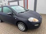 Fiat Punto 1.2 *KLIMA*TÜV 3/27* Zahnriemen NEU* - Fiat Punto in Hannover