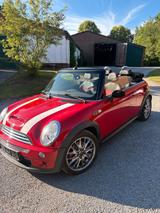 MINI Mini Cooper s Cabrio John Cooper Works - MINI MINI aus 2007: Cabrio