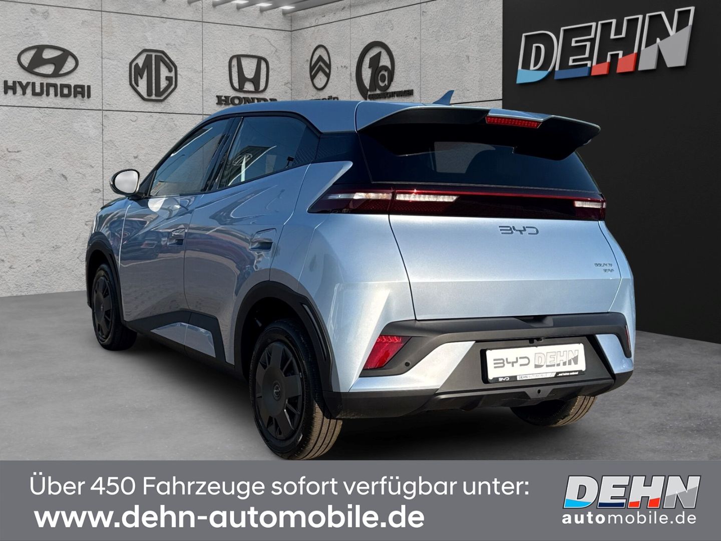 BYD DOLPHIN SURF