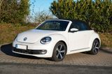 Volkswagen Beetle 1.4 TSI DSG Design Cabriolet Design - : Cabrio, De