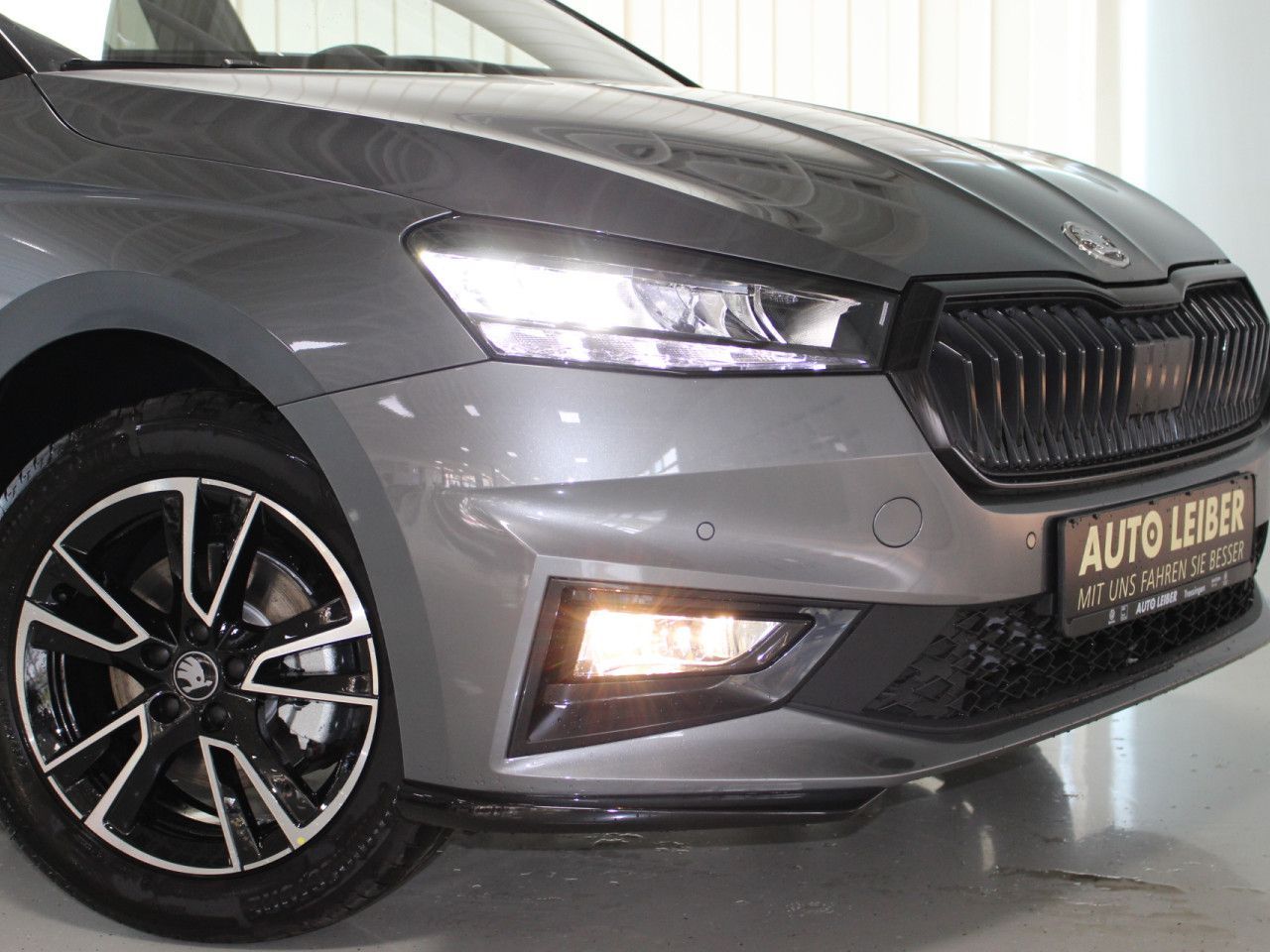 Fahrzeugabbildung SKODA Fabia 1.0 TSI Monte Carlo /Cam/LED/App