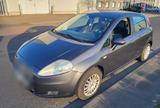 Fiat Punto TÜV neu / wenig km - Fiat Punto Gebrauchtwagen in Köln