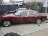 Jaguar XJ 40 Oldtimer - Jaguar XJ40 aus 1991