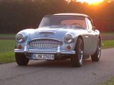 Austin Healey Andere
